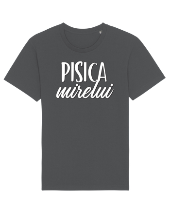 Tricou poze nunta - pisica mirelui Anthracite