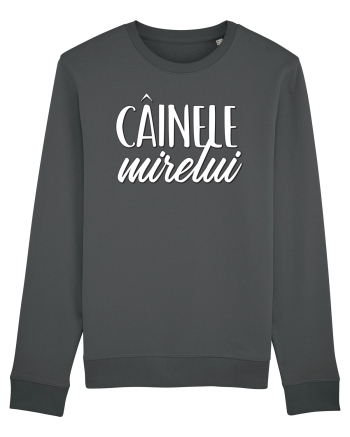 Tricou poze nunta - cainele mirelui Anthracite