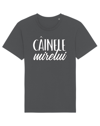 Tricou poze nunta - cainele mirelui Anthracite