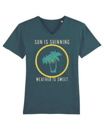 Sun is Shinning Weather is Sweet Stargazer