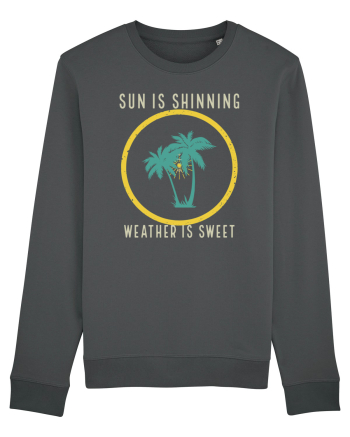Sun is Shinning Weather is Sweet Anthracite