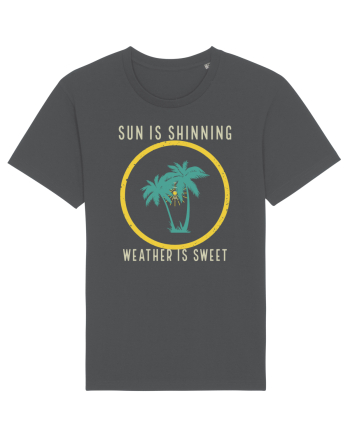 Sun is Shinning Weather is Sweet Anthracite