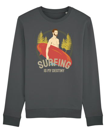 Surfing is My Destiny Anthracite