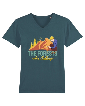 The Forests are Calling Stargazer
