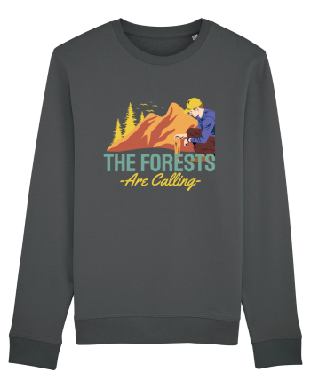 The Forests are Calling Anthracite