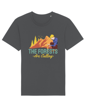 The Forests are Calling Anthracite