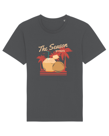The Season of Fruits Anthracite