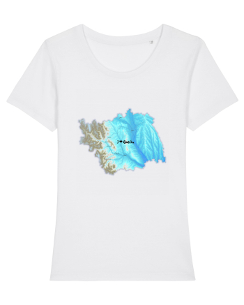 Bacău County Map White