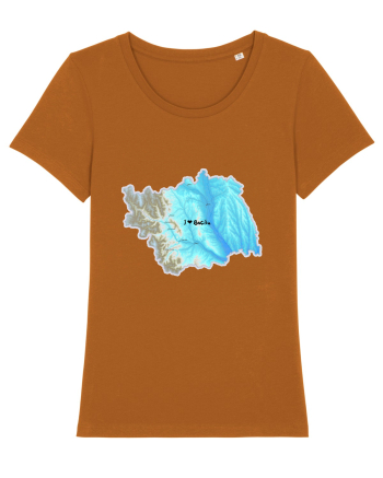 Bacău County Map Roasted Orange