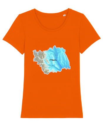 Bacău County Map Bright Orange