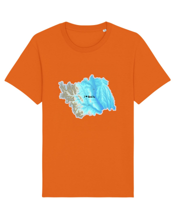 Bacău County Map Bright Orange