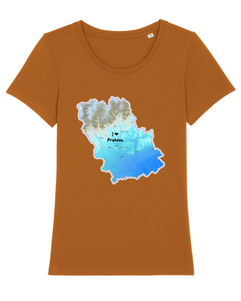 Prahova County Map Roasted Orange