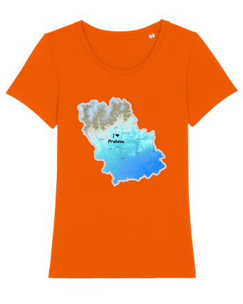Prahova County Map Bright Orange