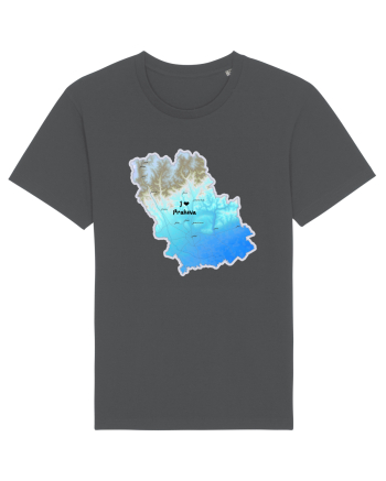 Prahova County Map Anthracite