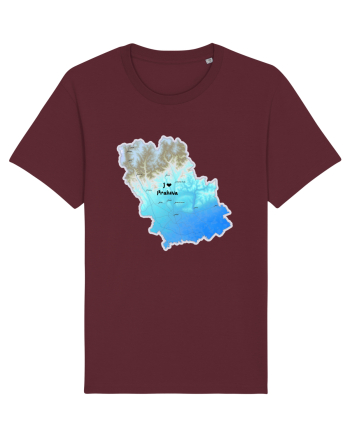 Prahova County Map Burgundy