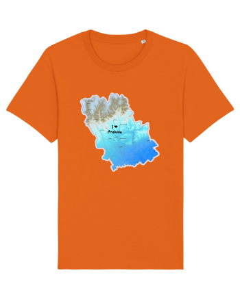 Prahova County Map Bright Orange