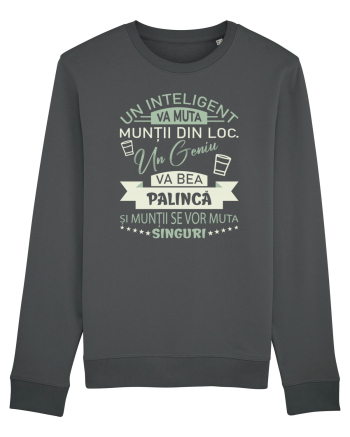 I love palincă Anthracite