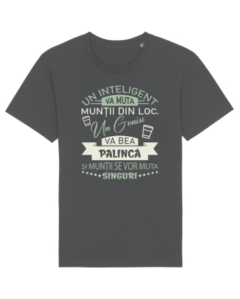 I love palincă Anthracite