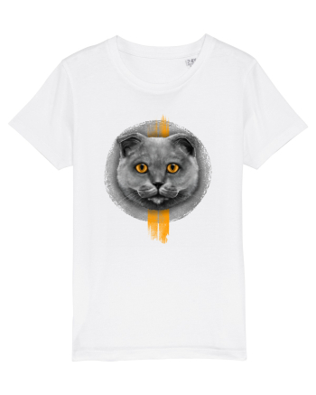 Scottish Fold  White