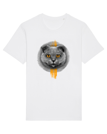 Scottish Fold  White