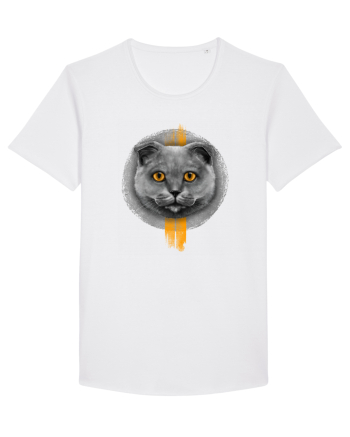 Scottish Fold  White
