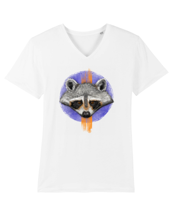 Raccoon White