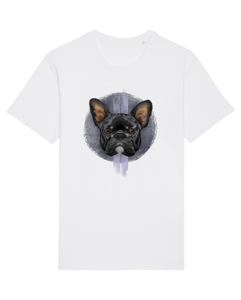 French Bulldog White