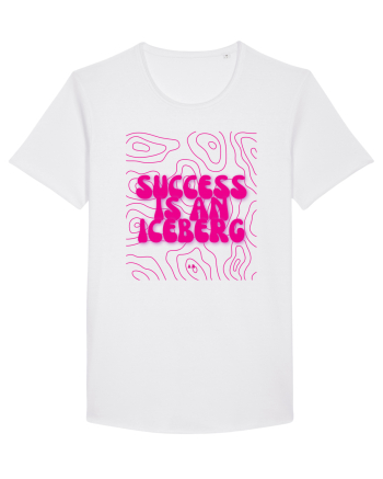success is an iceberg White