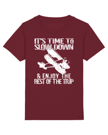 It’s time to slow down and enjoy the rest of  the trip VINTAGE PLANE Burgundy