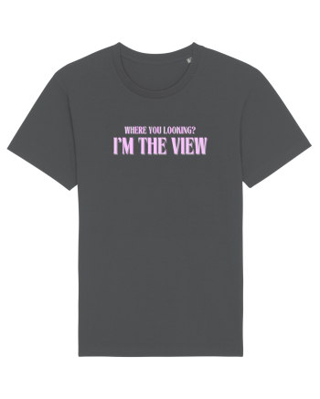 I  M THE VIEW Anthracite