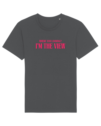 I  M THE VIEW Anthracite