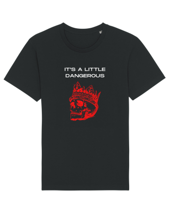it s a little dangerous Black