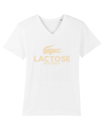 LACTOSE INTOLERANT White