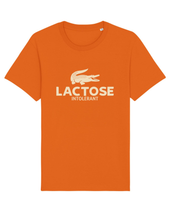 LACTOSE INTOLERANT Bright Orange