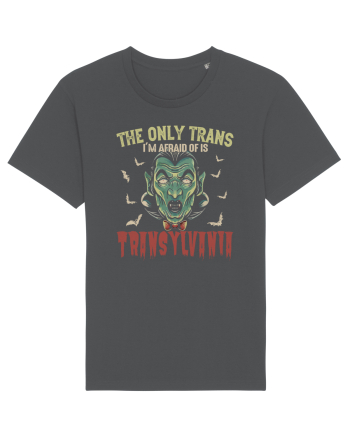 The Only Trans I'm Afraid Of Is Transylvania Anthracite