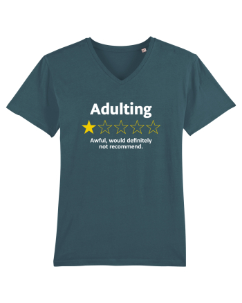 Adulting Stargazer