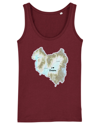 Covasna County Map Burgundy