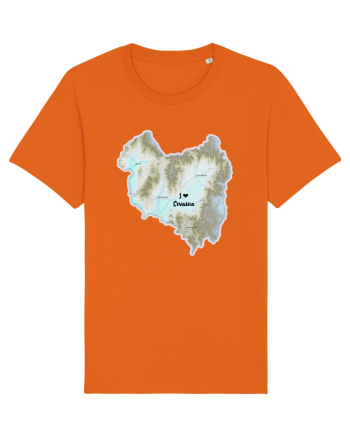 Covasna County Map Bright Orange