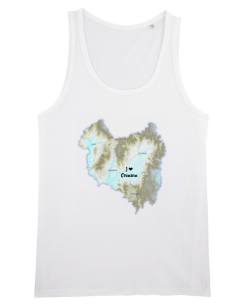 Covasna County Map White