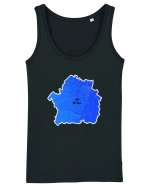 Brăila County Map Maiou Damă Dreamer