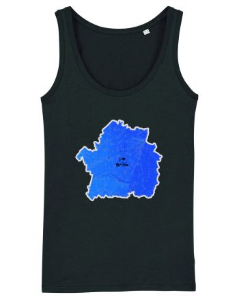 Brăila County Map Black