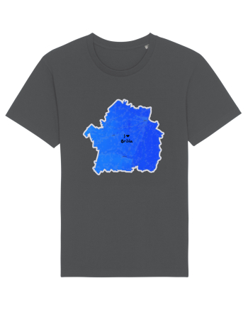 Brăila County Map Anthracite