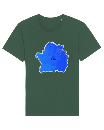 Brăila County Map Bottle Green