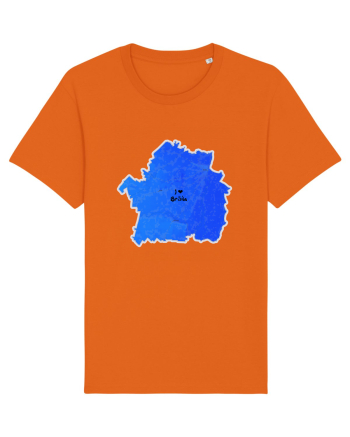 Brăila County Map Bright Orange