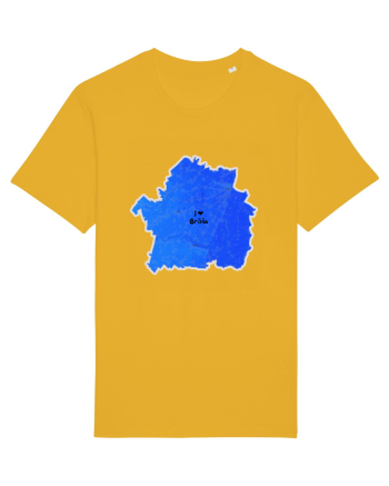 Brăila County Map Spectra Yellow