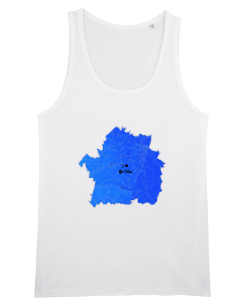 Brăila County Map White