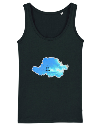 Arad County Map Black