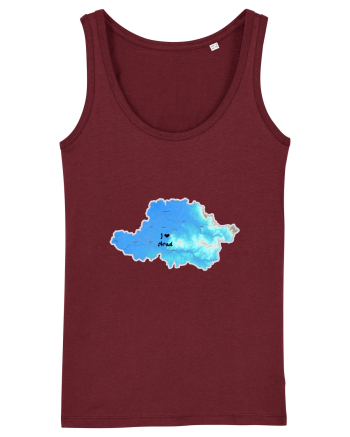 Arad County Map Burgundy
