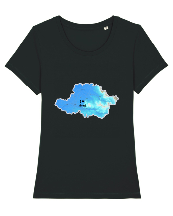 Arad County Map Black