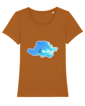 Arad County Map Roasted Orange